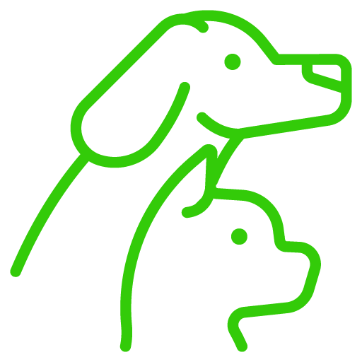mascotas